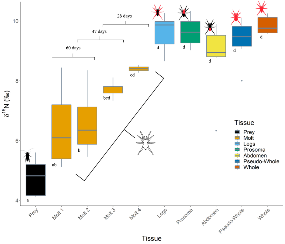 Greater than the sum of your parts: non-lethal stable isotope sampling ...